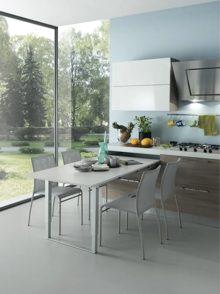 PULL OUT TABLE WITH DOUBLE LEG art.: PARTY / 900mm