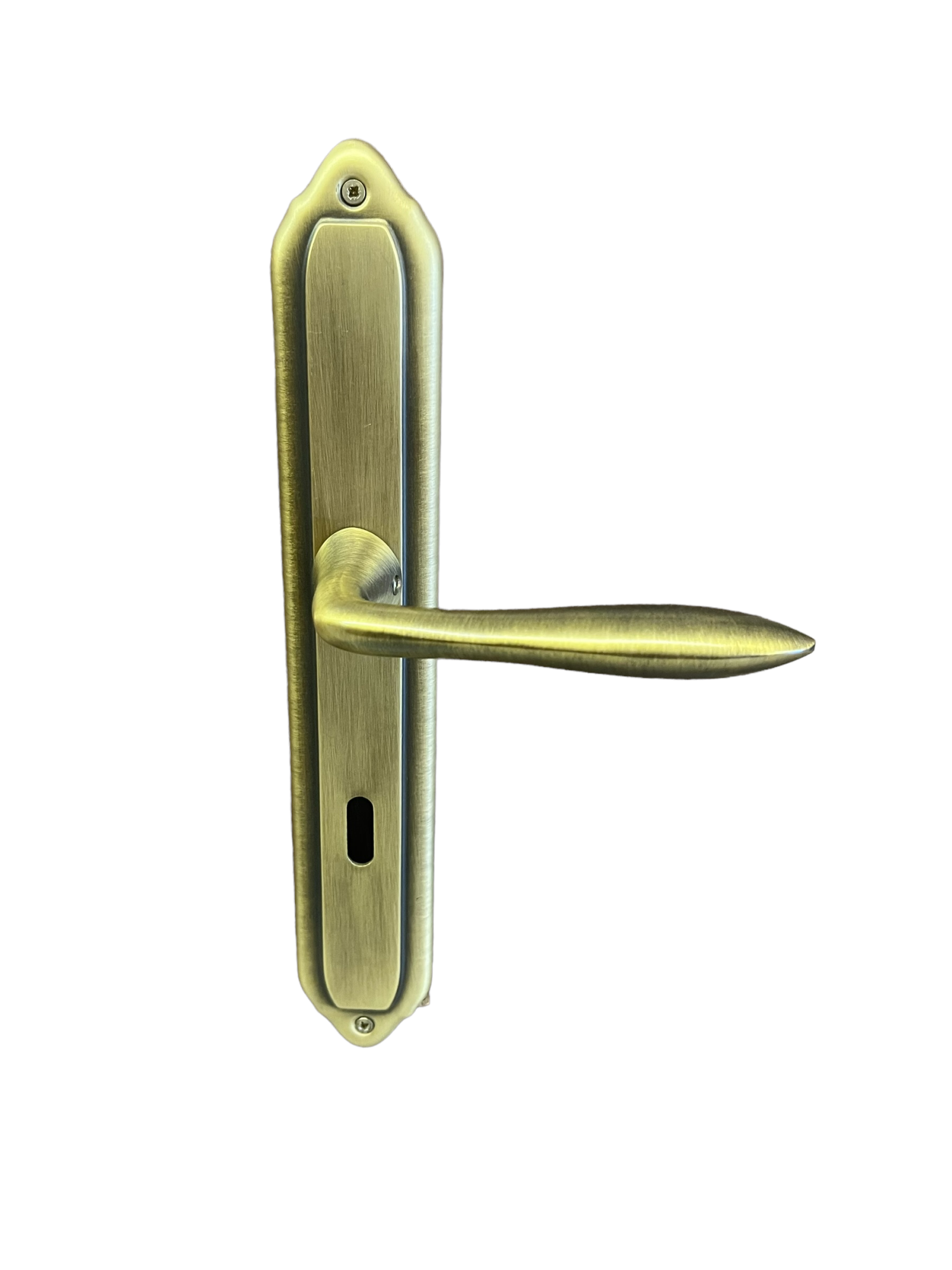 DOOR HANDLE ON PLATE COBA art.: 710 BRASS MAT