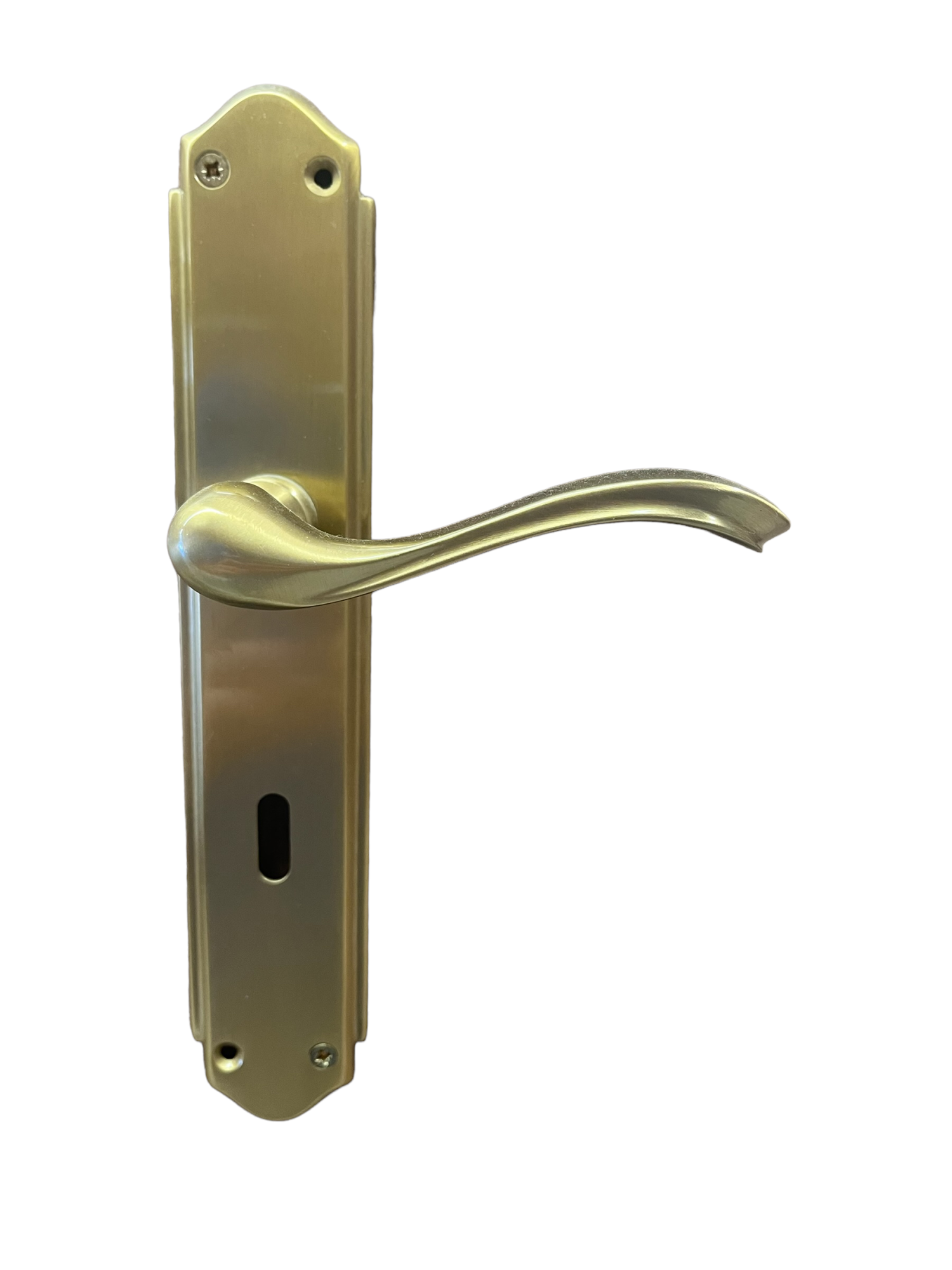 DOOR HANDLE ON PLATE COBA art.: 2053 GOLD MAT