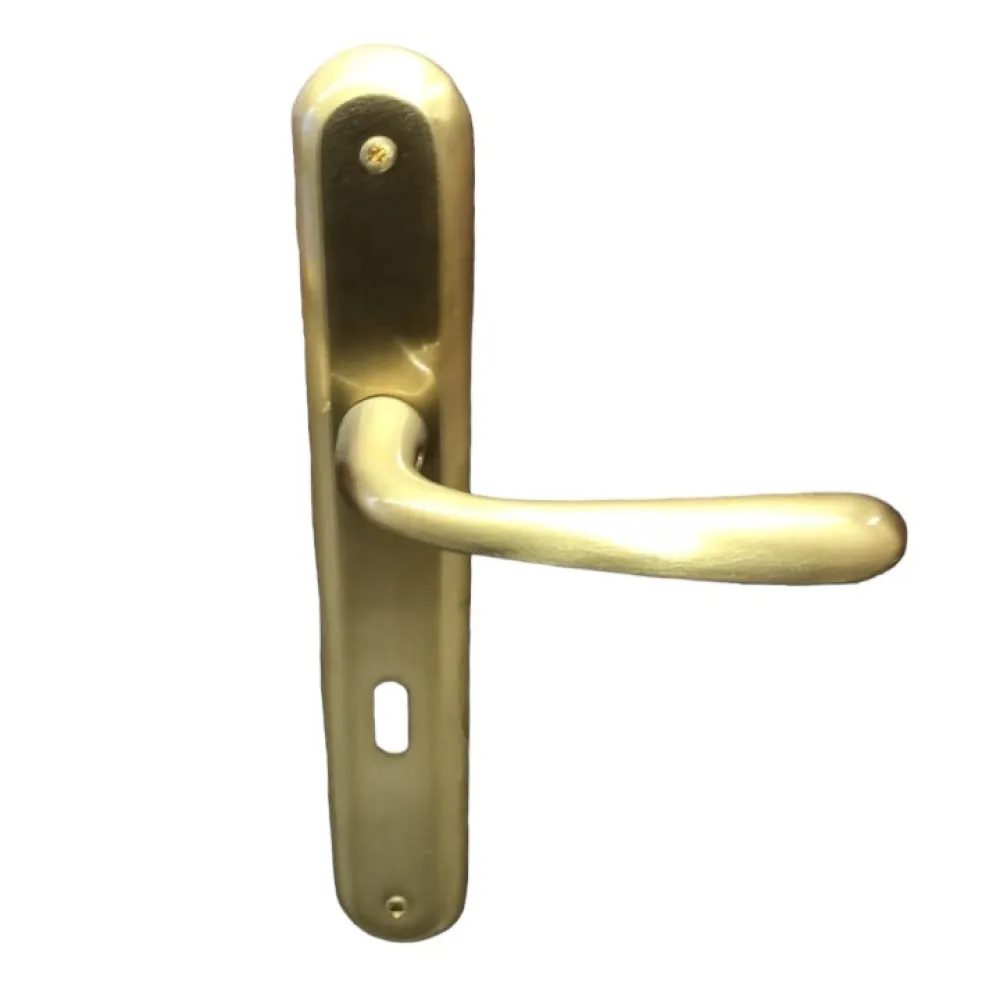 DOOR HANDLE ON PLATE - GARDA - MAT GOLD