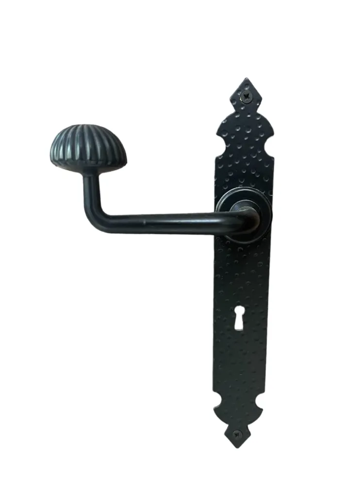 DOOR HANDLE ON PLATE art.: 6.302 BLACK