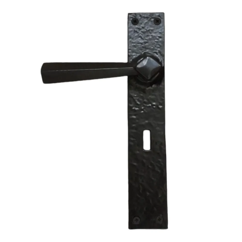DOOR HANDLE on PLATE art.: G0550K BLACK