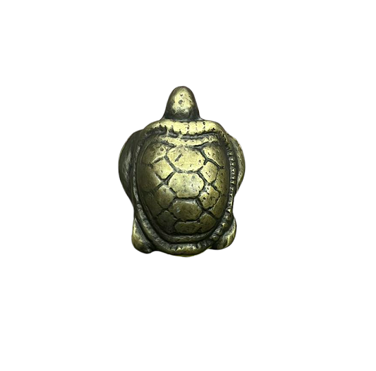 CABINET KNOB TARTARUGA MAT BRASS