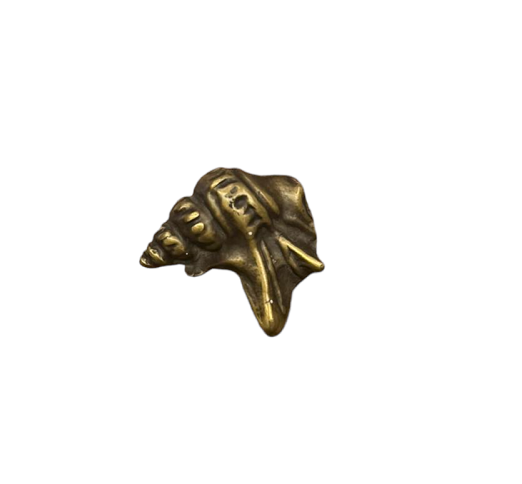 CABINET KNOB CONCHILIA MAT BRASS