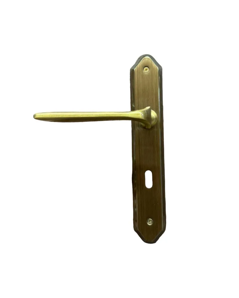 DOOR HANDLE on PLATE ANNA BRASS