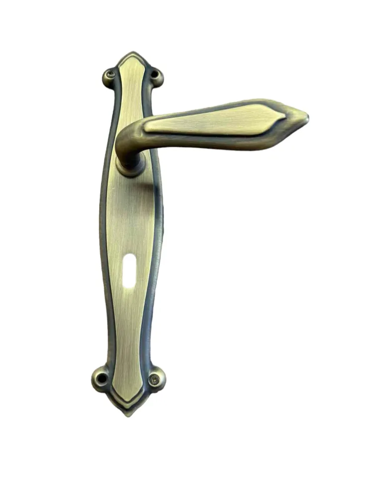 DOOR HANDLE on PLATE ΑΝUBI MAT BRASS