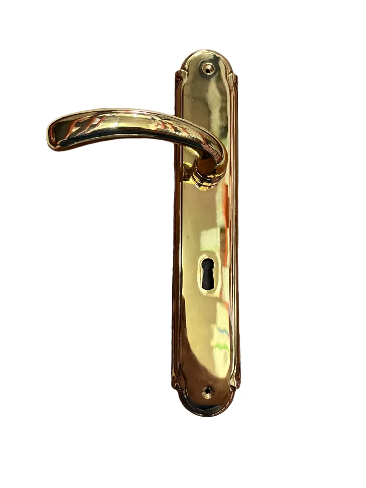 DOOR HANDLE ON PLATE art.: 5016 GOLD